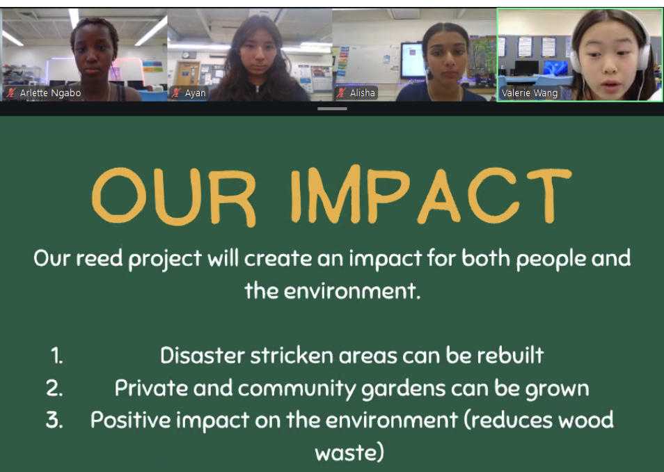 Reed Recycling project