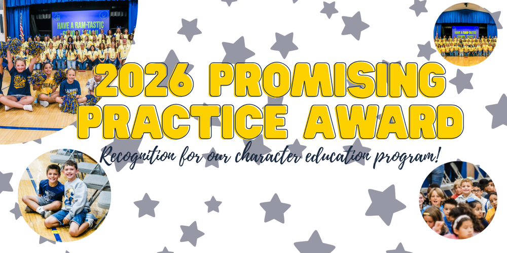 Promising Practice