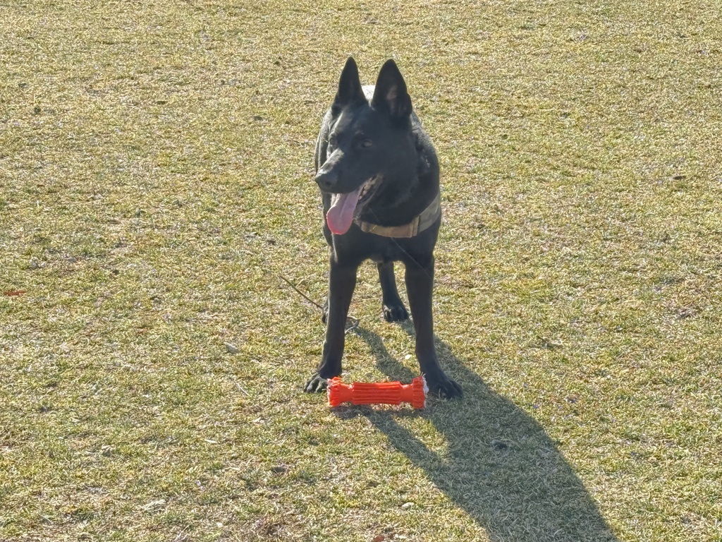 K-9 Police Unit Visit