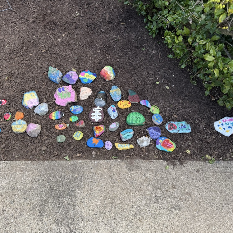 rocks