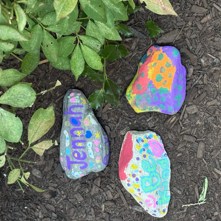 rocks