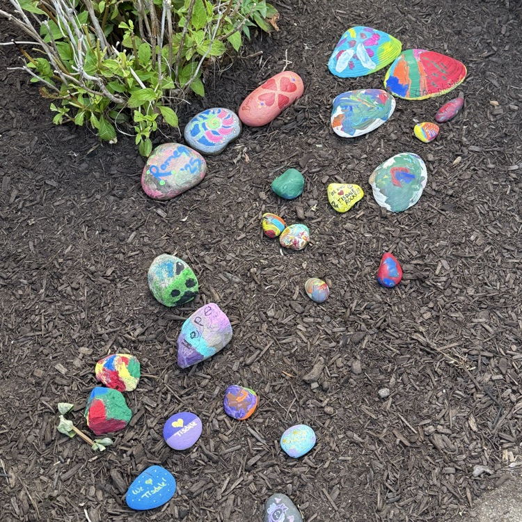 rocks