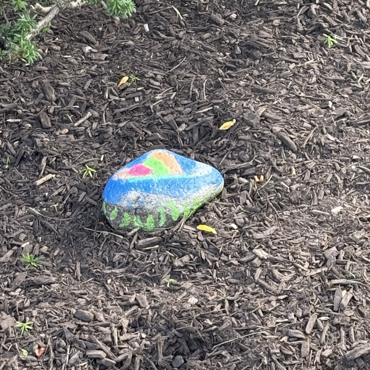rocks