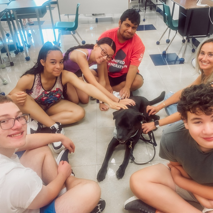 Brody, the Therapy Dog