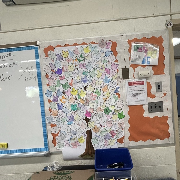 class tree