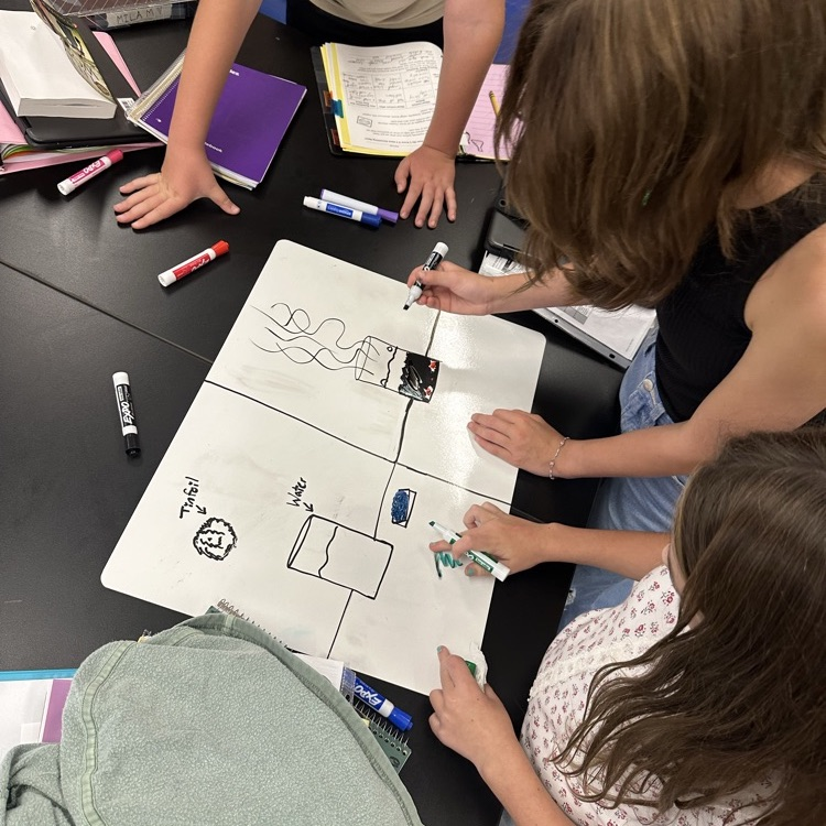 Using the classroom norms!
