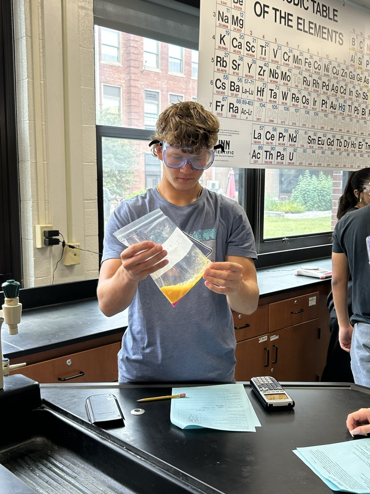 A student observes a chemical reaction in a bag. 