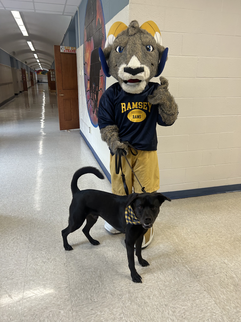 Mascot and therapy dog