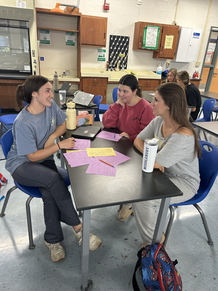 AP Research students give peer feedback