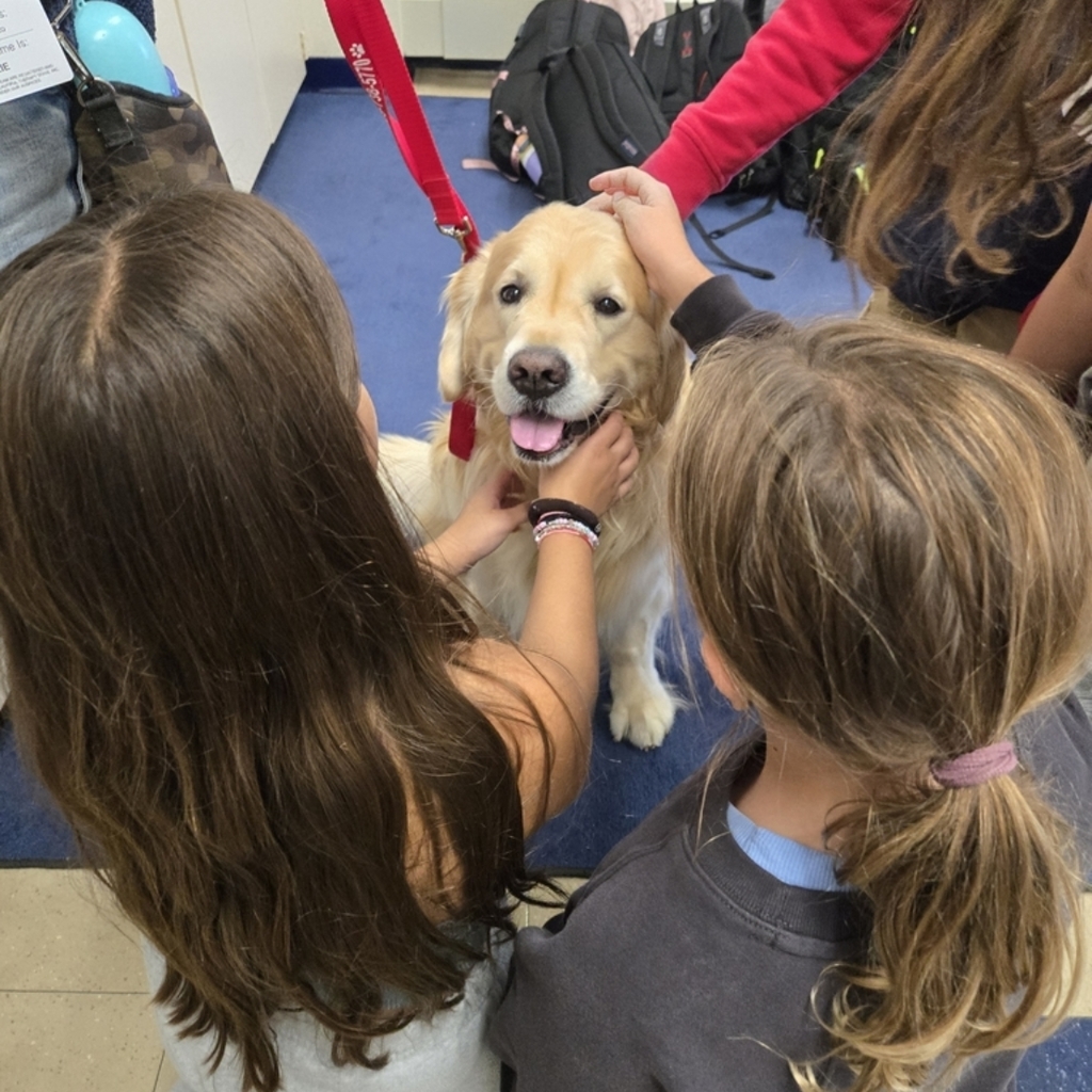Welcome, Ollie! Students in 5GT enjoyed their first therapy dog visit!