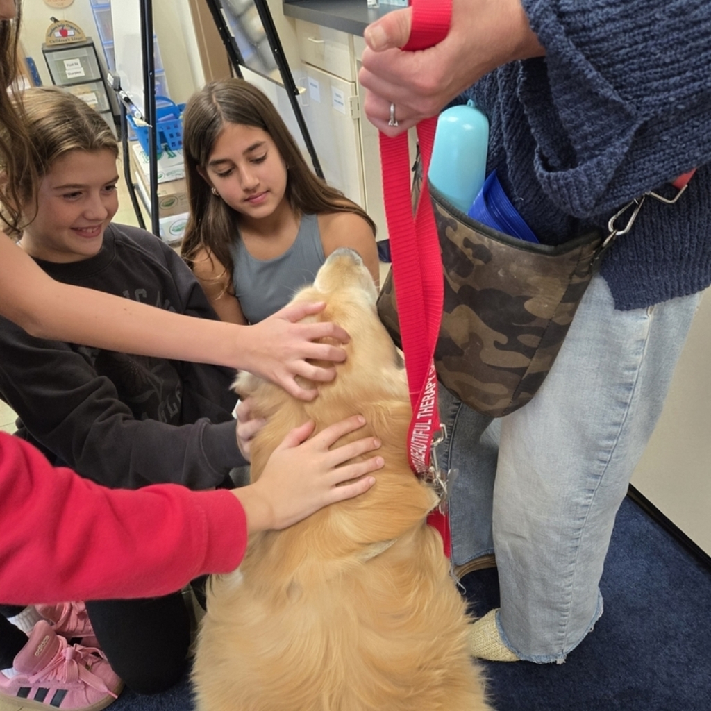 Welcome, Ollie! Students in 5GT enjoyed their first therapy dog visit!