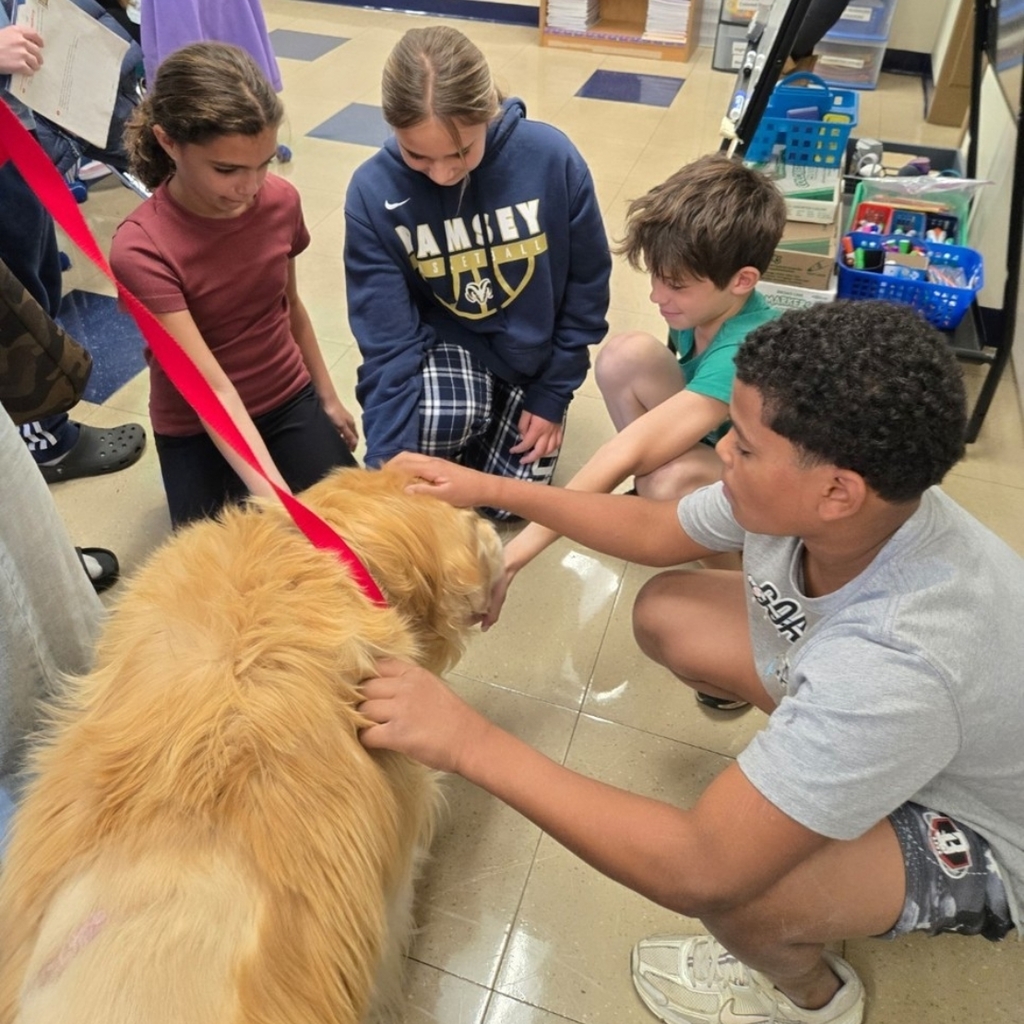 Welcome, Ollie! Students in 5GT enjoyed their first therapy dog visit!