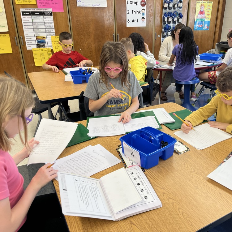 Third graders in Mrs. Clewleyβs class are in the editing stage of the writing process.  Our editing glasses help us take a closer look as we check for capitals, commas, ending marks and spelling.