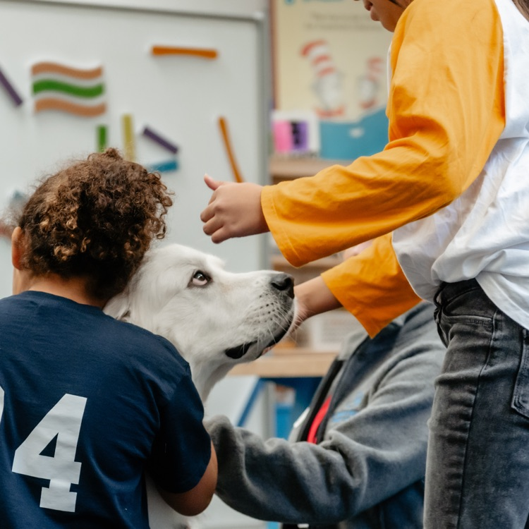 dog and students 