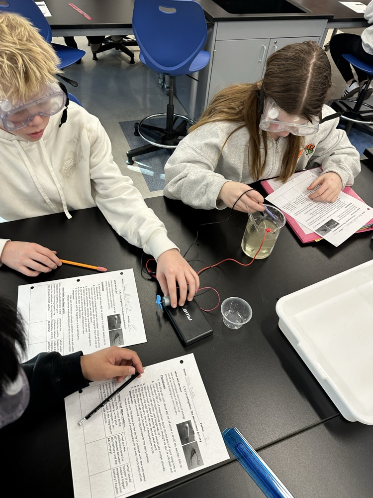 Making observations!