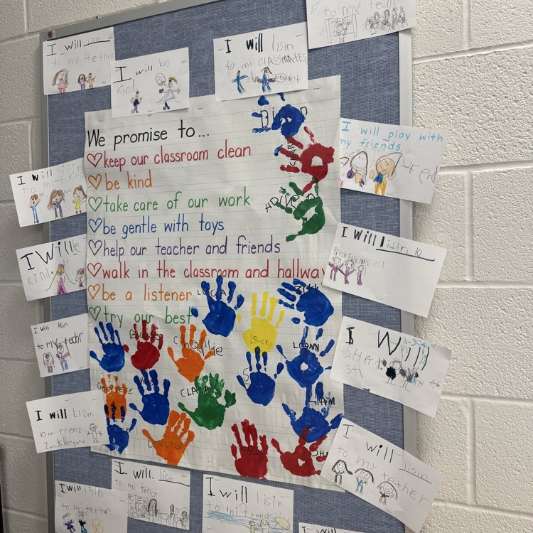 “You are never too old to set another goal or dream a new dream."