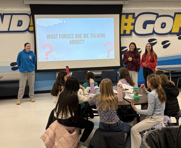 STEM Starters Mentor Session with Ramsey Girl Scouts