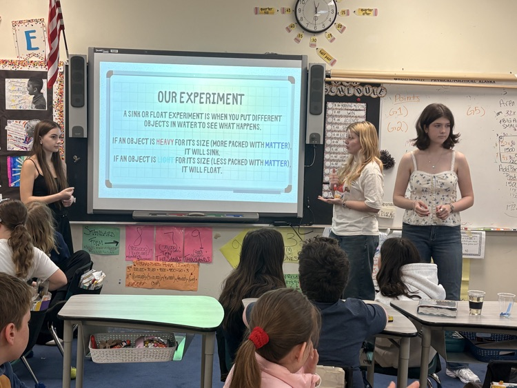 STEM Starters Sink or Float Experiment