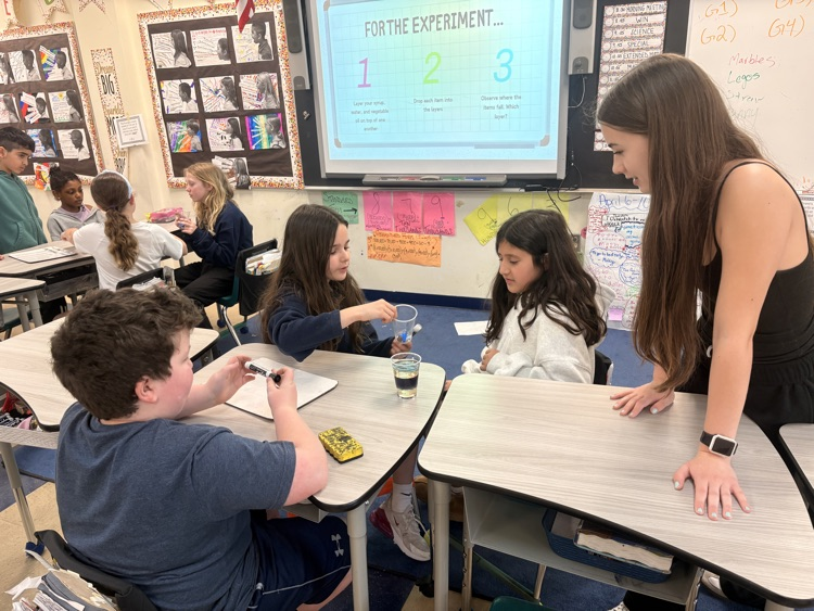 STEM Starters Sink or Float Experiment