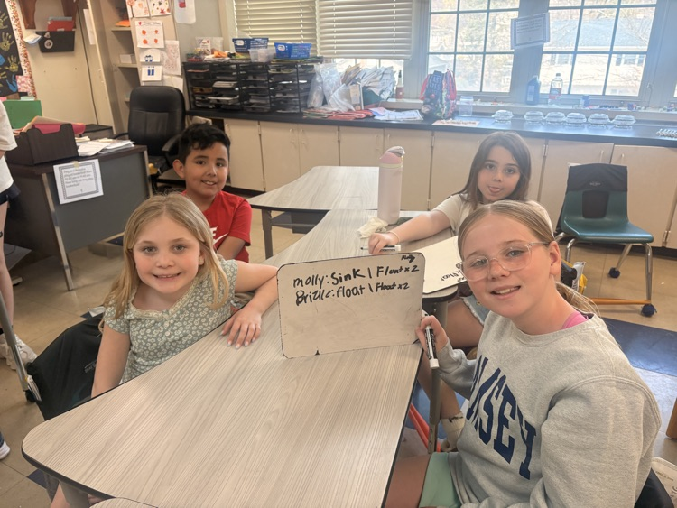 STEM Starters Sink or Float Experiment