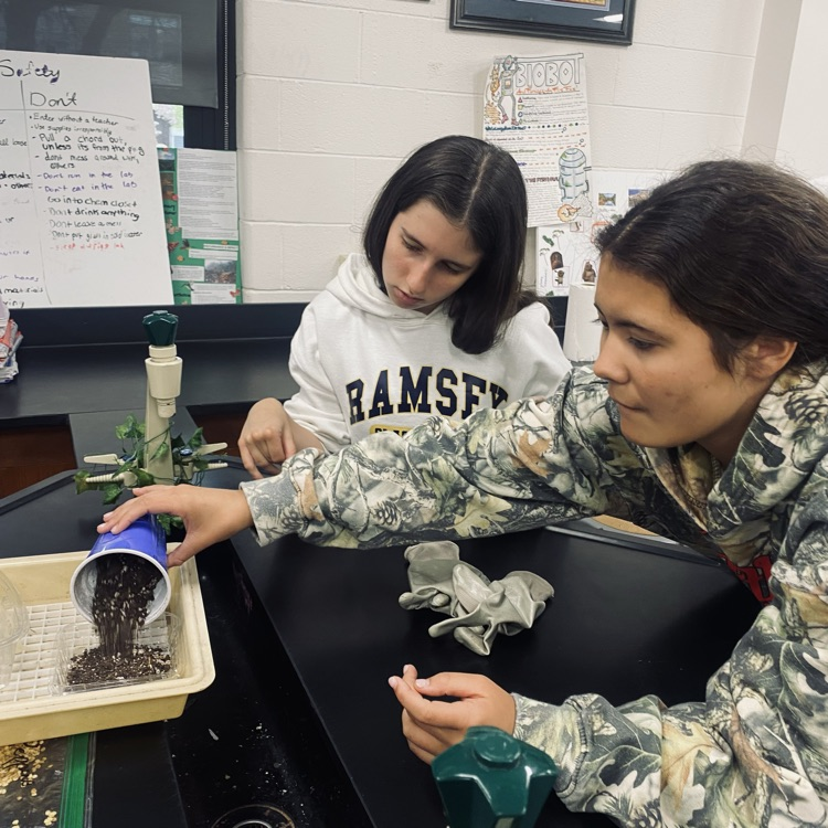 Environmental Club x Best Buddies/Unified