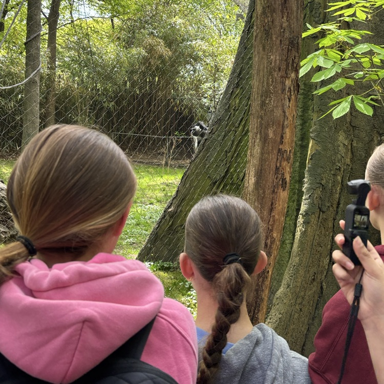 zoo4