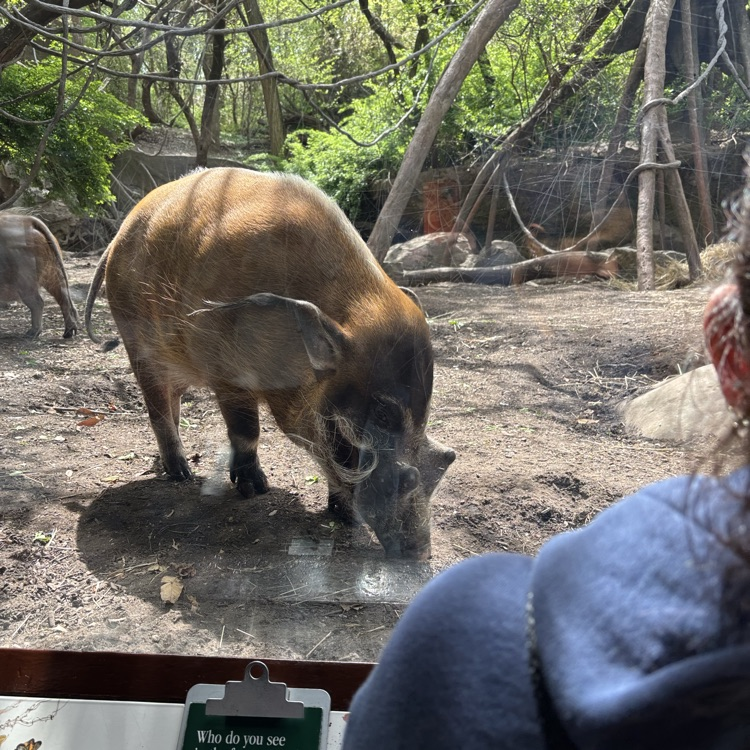 zoo5