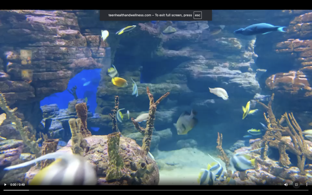 fish