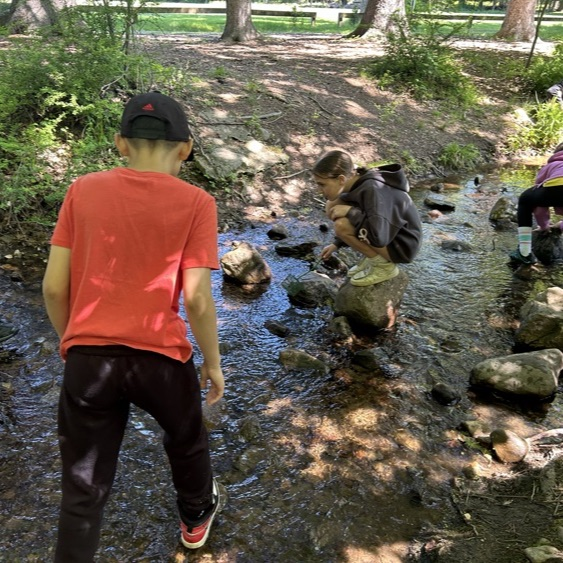 Students from 5Johnstone had an amazing day out in the sun during field day and on our field trip!