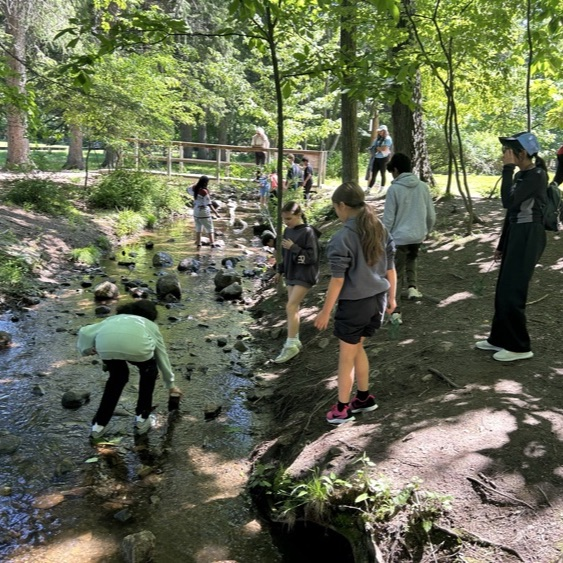 Students from 5Johnstone had an amazing day out in the sun during field day and on our field trip!
