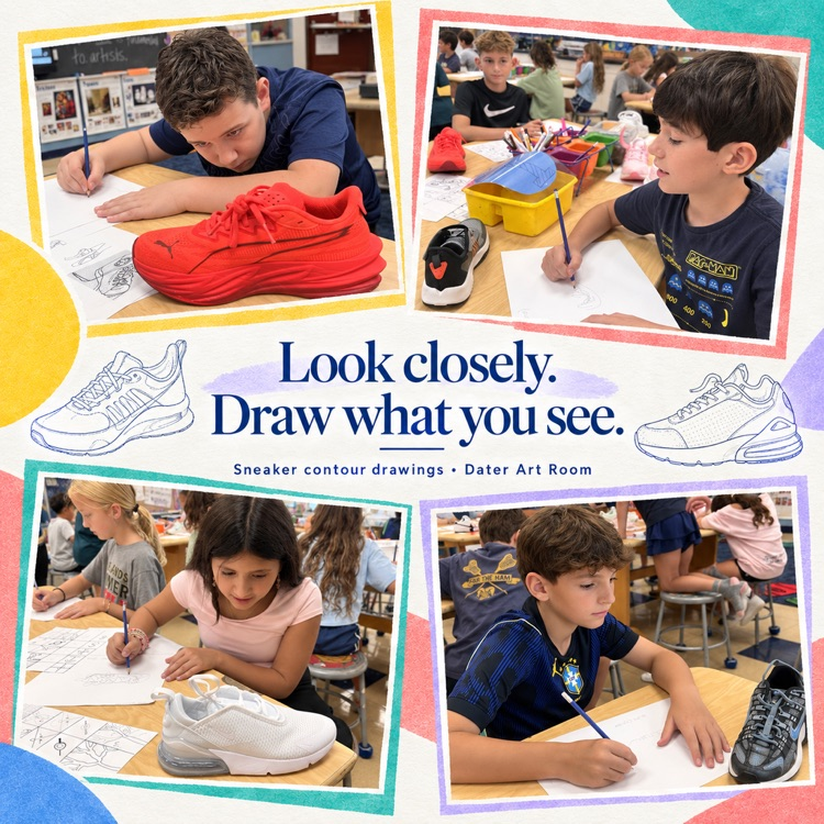 contour drawing