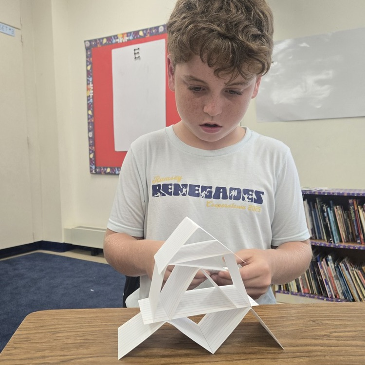 Students in 5-Gesualdo used the Engineer Design Process...Creative thinking filled the room as they took on their challenge