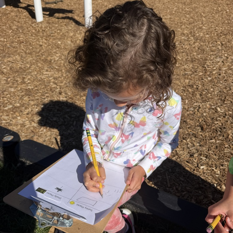 Kindergarten Science 