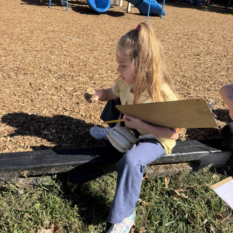 Kindergarten Science 