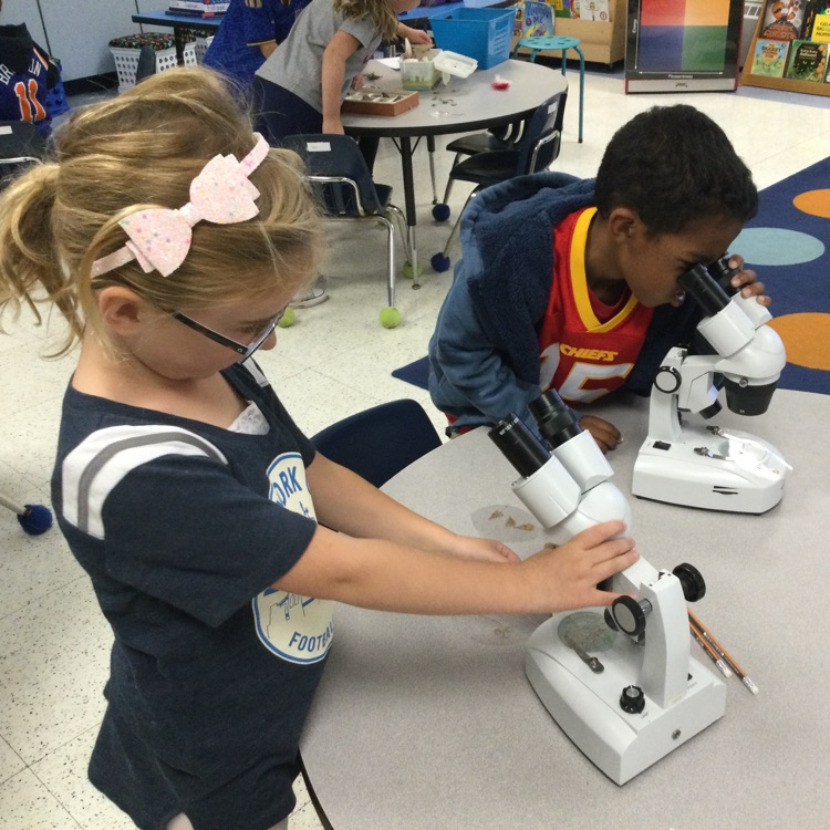 microscopes