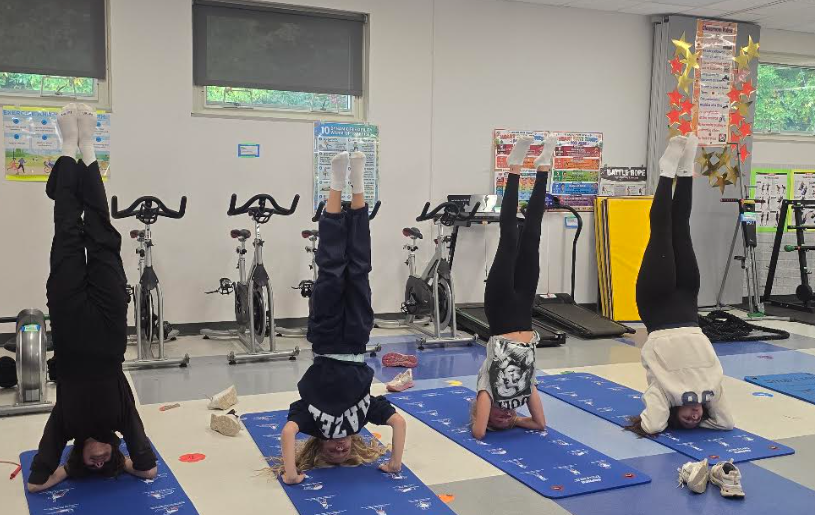 fitness4