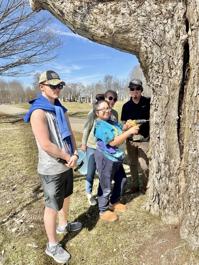Tapping the trees.