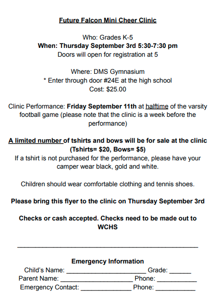 Future Falcon Mini Cheer Clinic