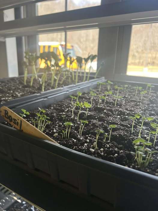 Nurturing Minds, Cultivating Futures