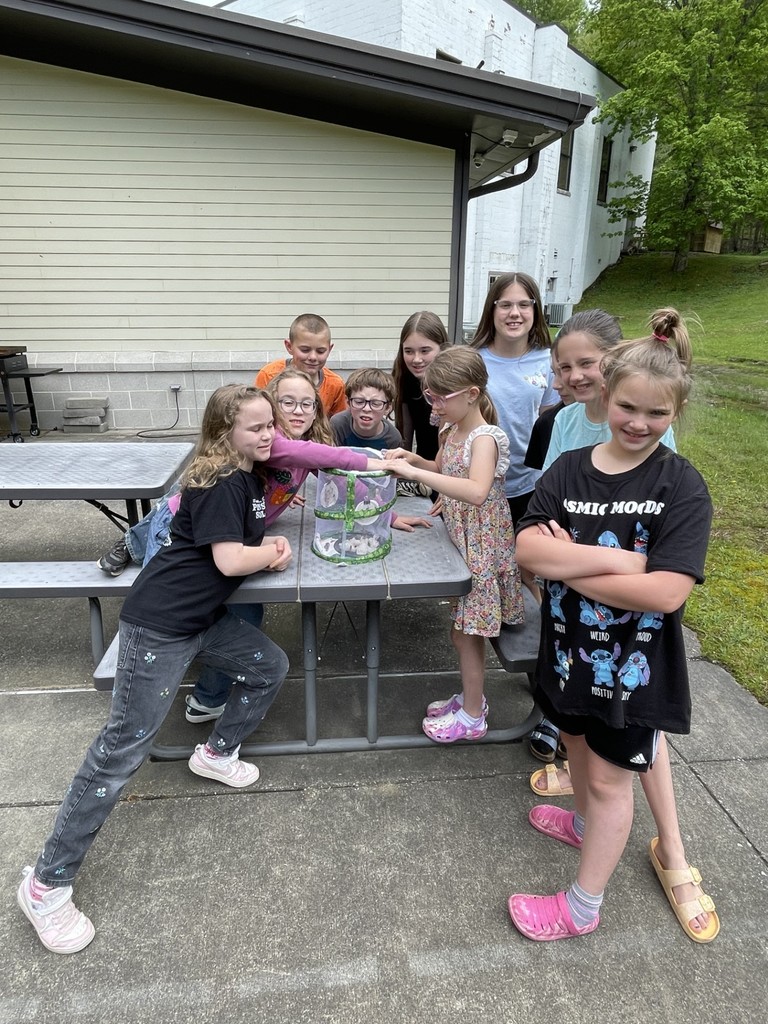 Butterfly Release