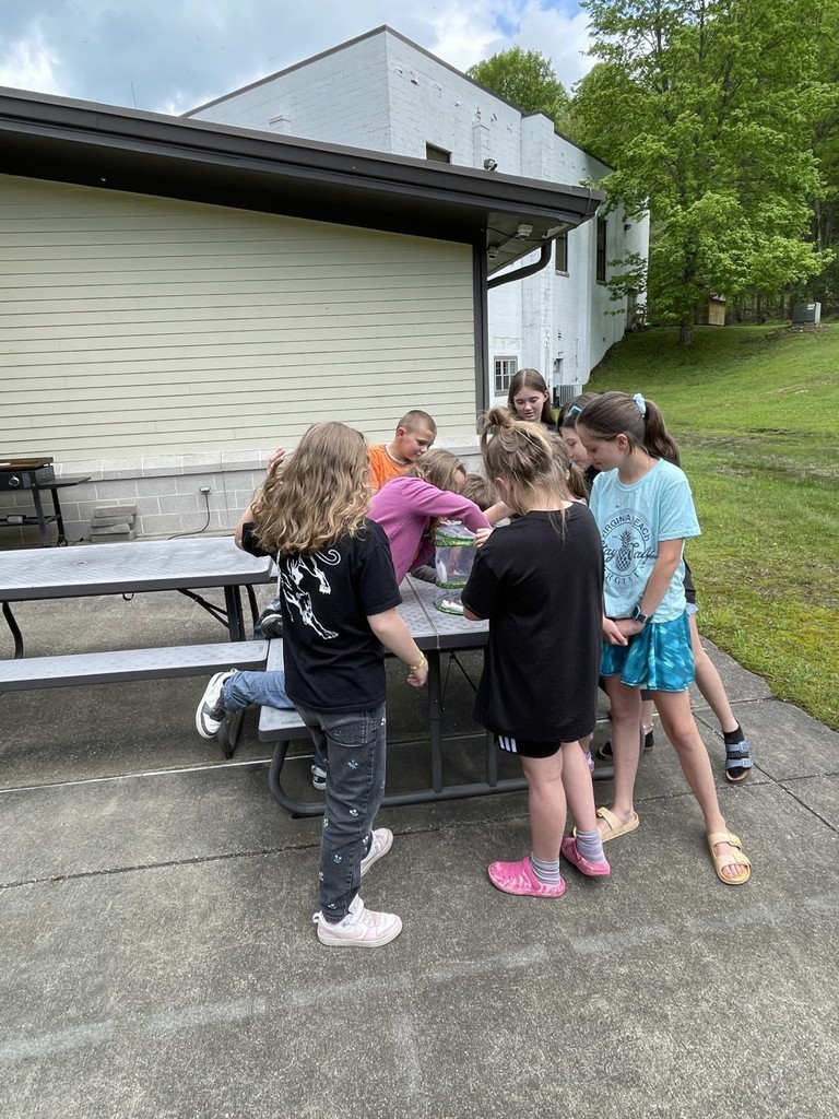 Butterfly Release