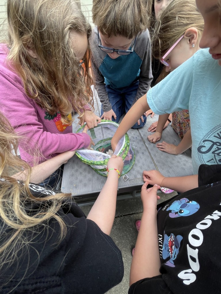 Butterfly Release