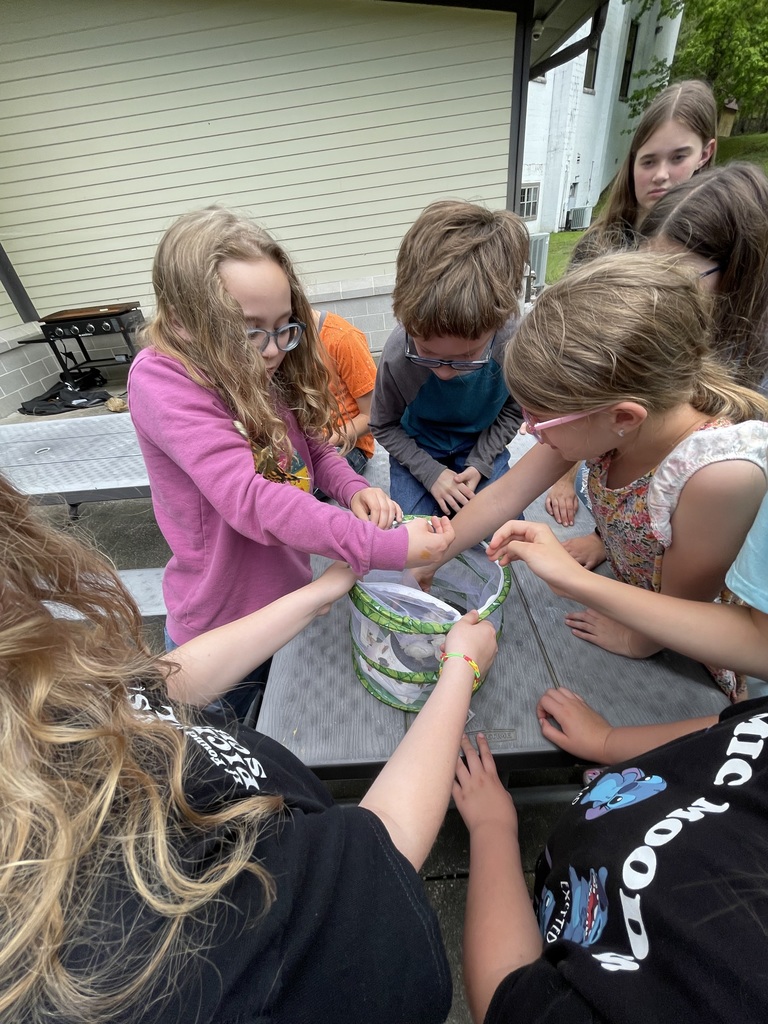 Butterfly Release