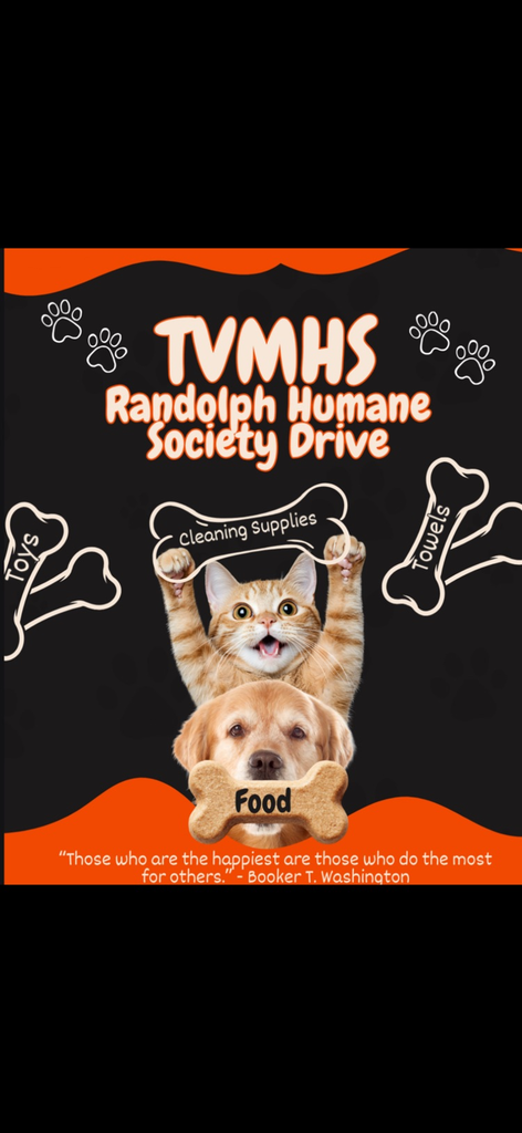 cat requesting donations