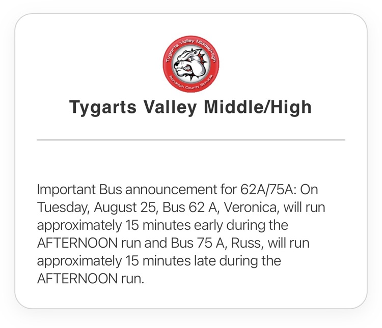 bus Ann
