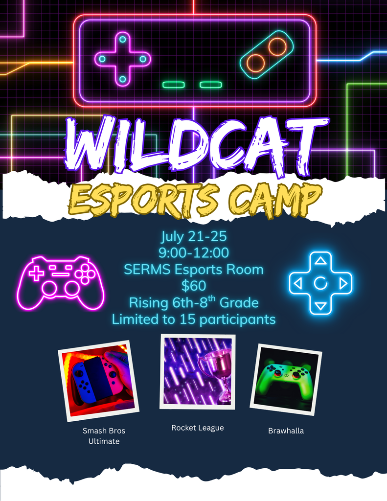 Esports Camp Flyer