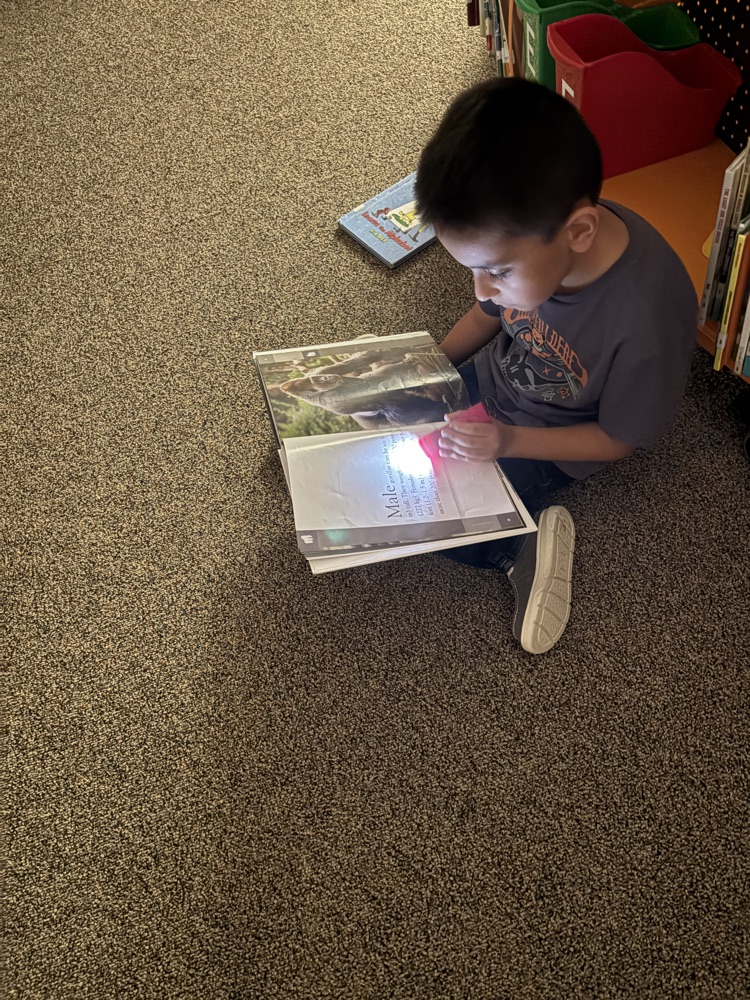 child reading in a dark media center with a flashlight