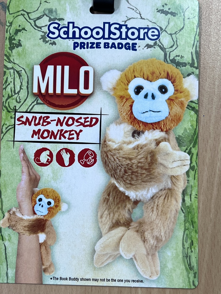 school store