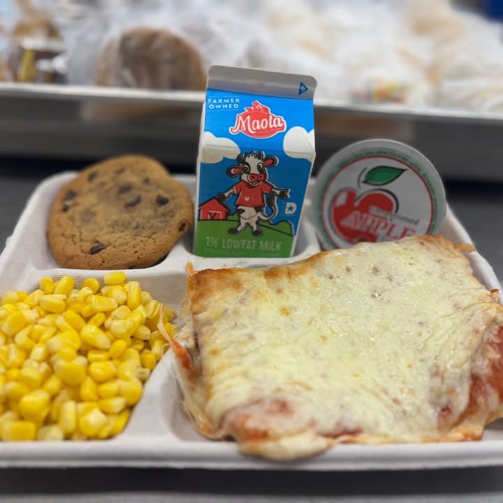 pizza tray!