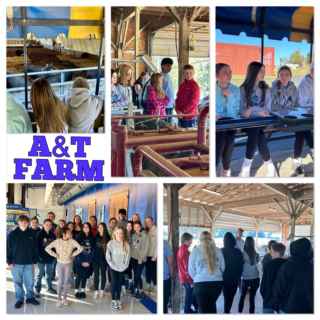 🐄🌾 7th Graders on the Move! 🌿🐓 Students from Uwharrie Ridge 6–12 had an exciting day of hands-on learning as they visited the A&T Farm! They explored dairy farming, poultry farming, and got up close with a variety of small animals 🐐🐮🐥. The adventure didn’t stop there — they were warmly welcomed by SW Randolph High School and the FFA officers for a deep dive into the high school AG program! Students enjoyed a delicious hotdog lunch 🌭 and explored AG mechanics, animal science, and horticulture. 🌻🔧 Thank you to our hosts for inspiring the next generation of agricultural leaders! 💚💛 #AGeducation #FutureFarmers #FFA #UwharrieRidge #HandsOnLearning